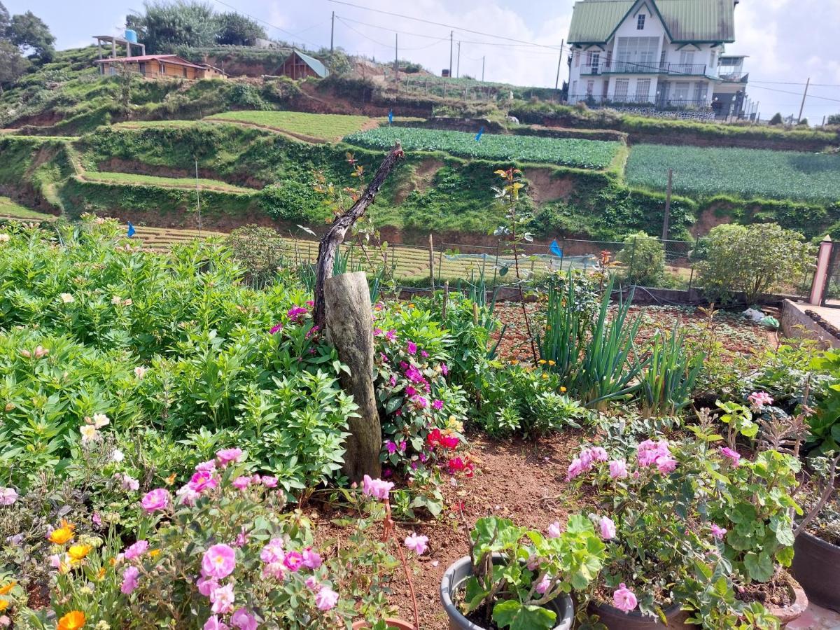 Chandrasobana Nuwara Eliya Esterno foto